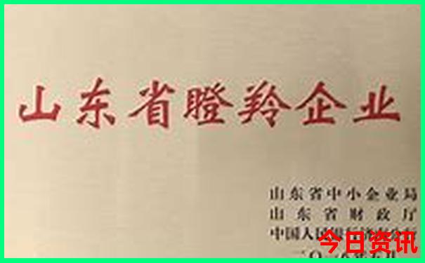 云南最出名的景点是哪里